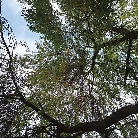 Doppelzimmer Mit Gartenblick *