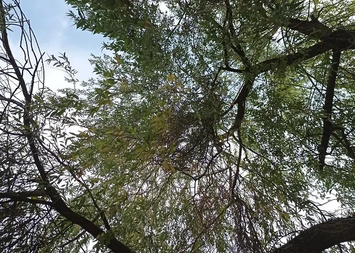 Doppelzimmer Mit Gartenblick *